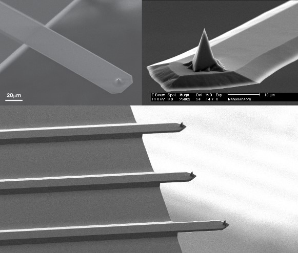 MAC Mode AFM Cantilevers for Keysight Agilent Molecular Imaging